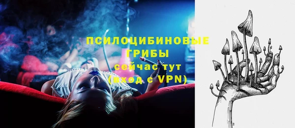 твердый Бронницы