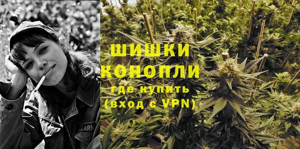 тгк Богданович