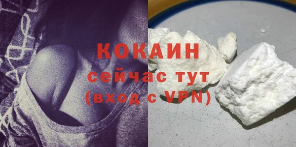молекула духа Богородск