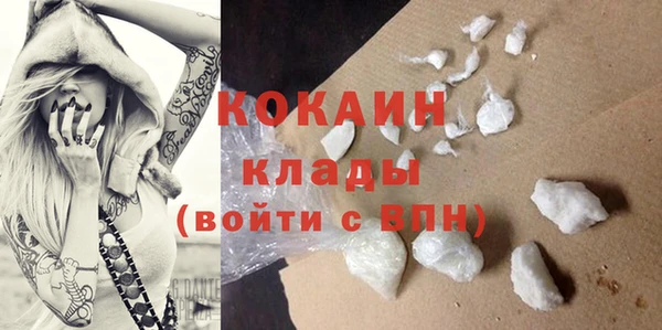 тгк Богданович