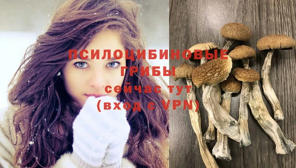 гашиш Богородицк