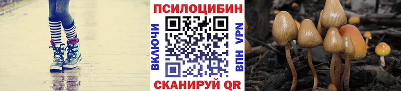 Псилоцибиновые грибы GOLDEN TEACHER  Дивногорск 